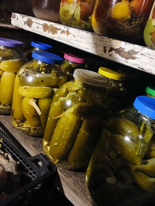 Квашені огірки та помідори.