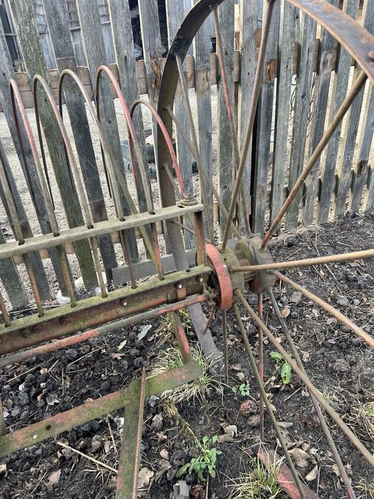 Кінська гребачка