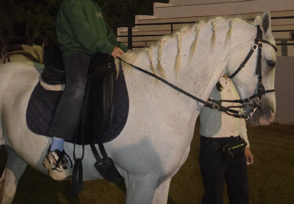 Cavalo de confiança