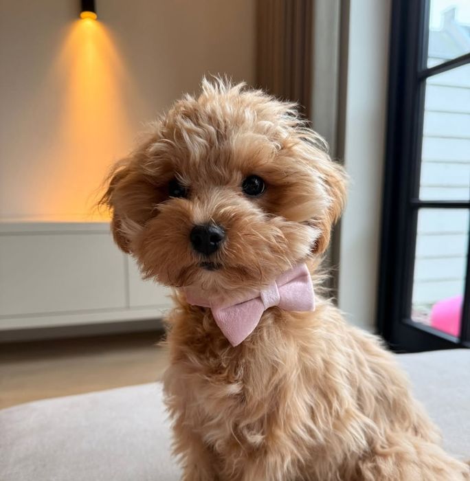 Маленьке життя, яке змінює все