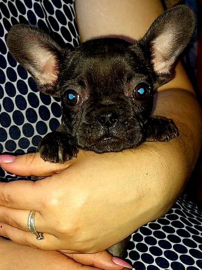 Супер дівчинка!Суми