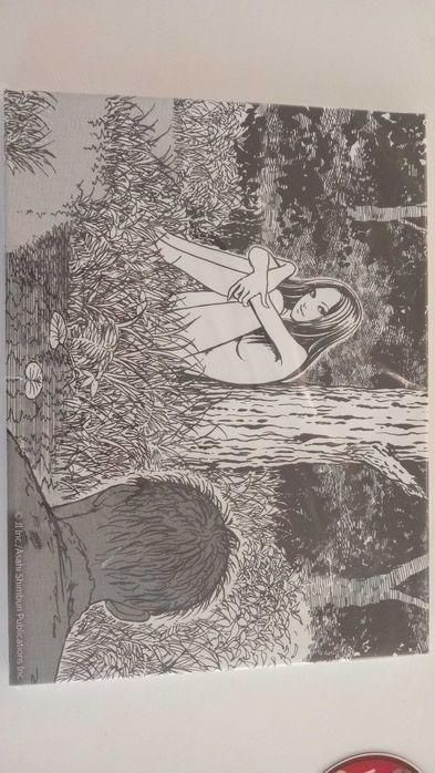 Quadro junji ito TOMIE - EDIÇAO LIMITADA