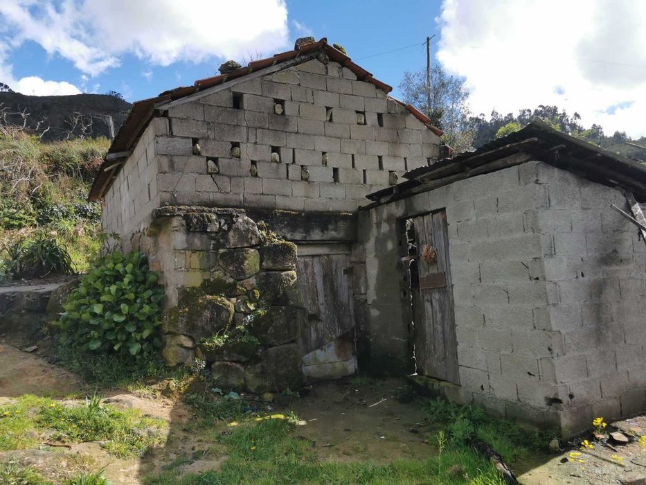 Quinta no Douro a 45min do Porto - Plano, tranquilo Varias construçoes