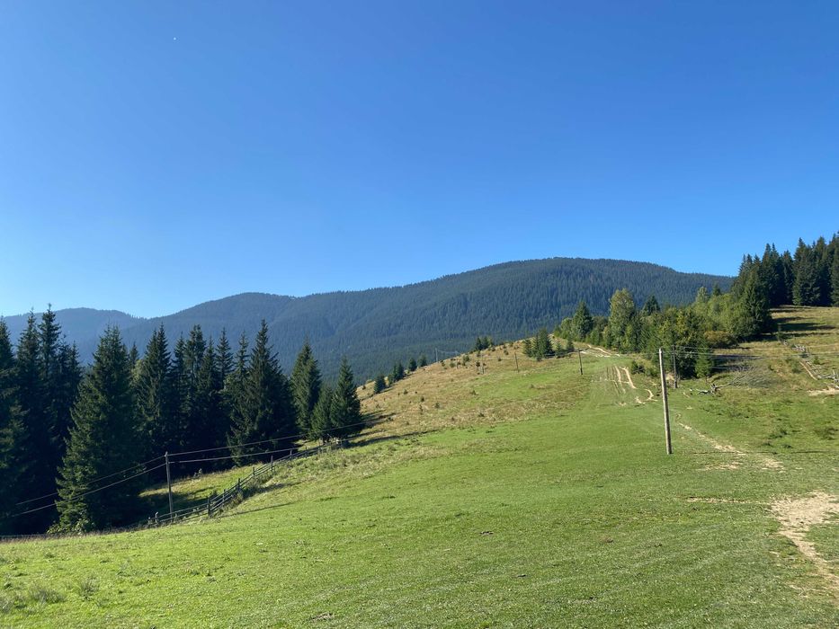 Земля під екопоселення 26 гектарівів