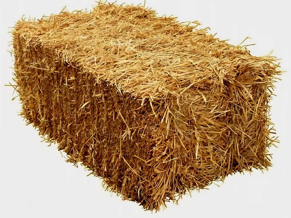 Słoma świeża - kostki