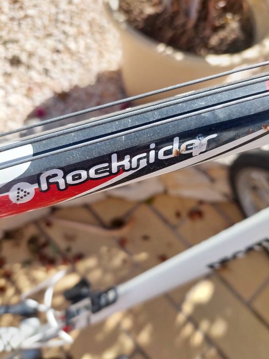 Bicicleta para adulto
