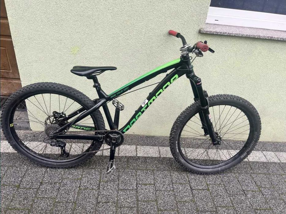 dartmoor hornet 2019r