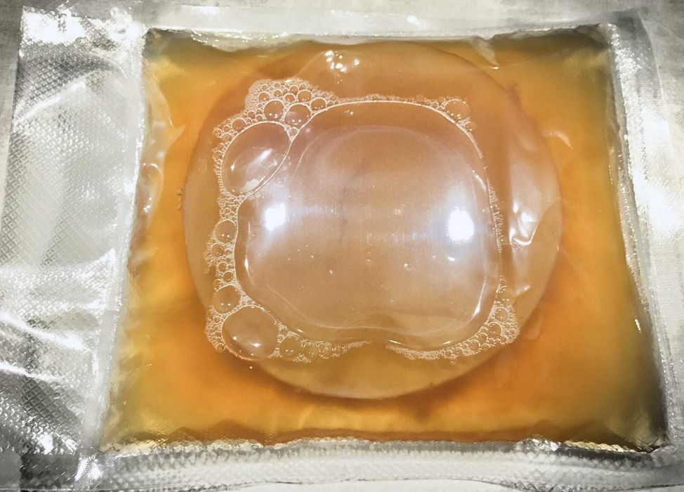 Kombucha Grzyb Herbaciany 10 cm + starter+ ulotki