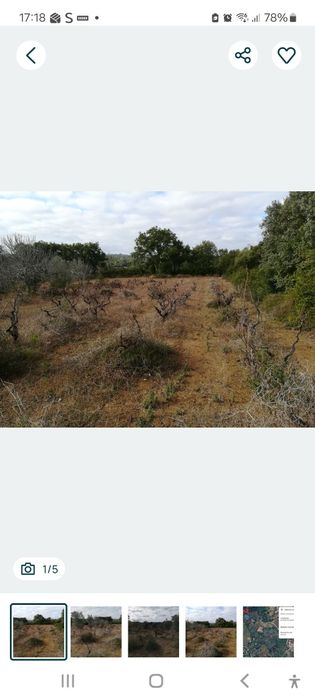 Terreno rústico 3.760m2  (Vinha e Oliveiras)