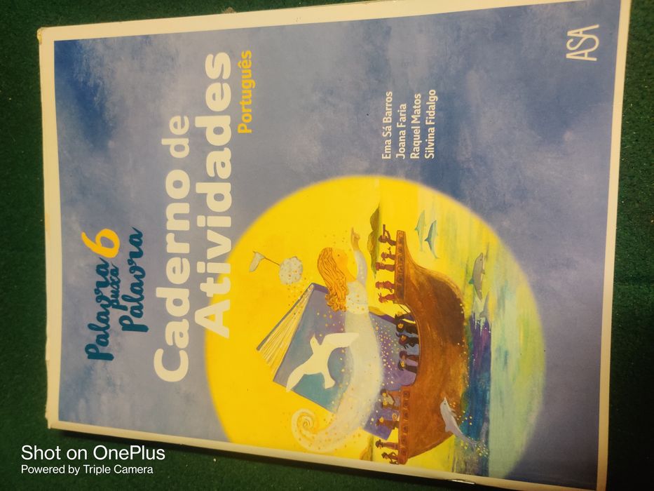 Livros Escolares 5º e 6º Ano em Excelente Estado - Oportunidade Única!