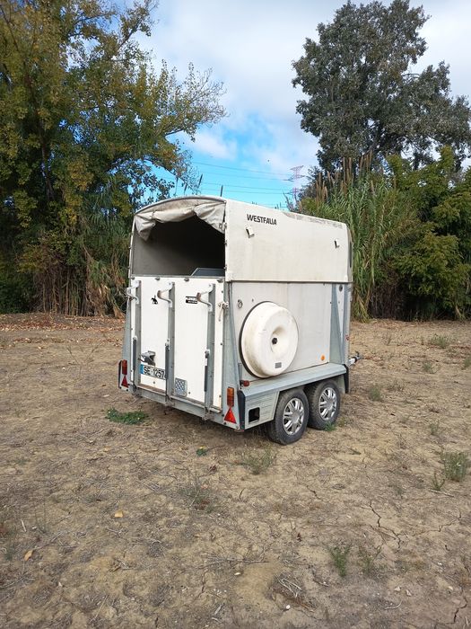Roulotte de 2 cavalos Westfalia