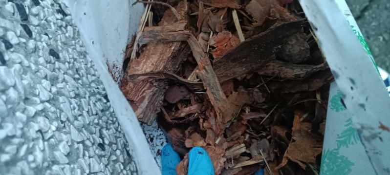 Kora sosnowa frakcja średnia