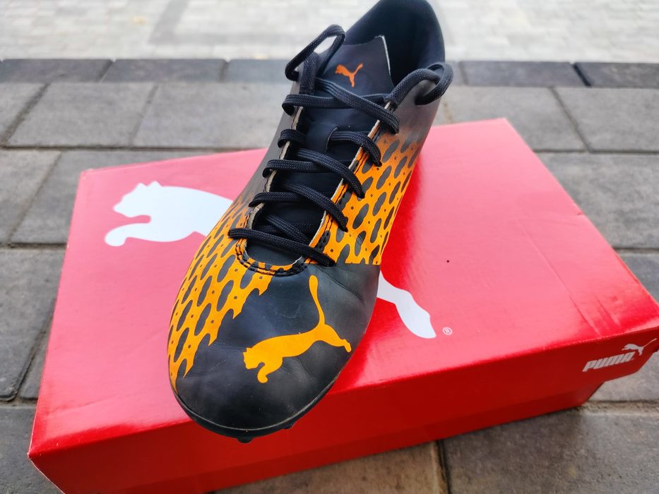 Korkowce oryginalne Pumy