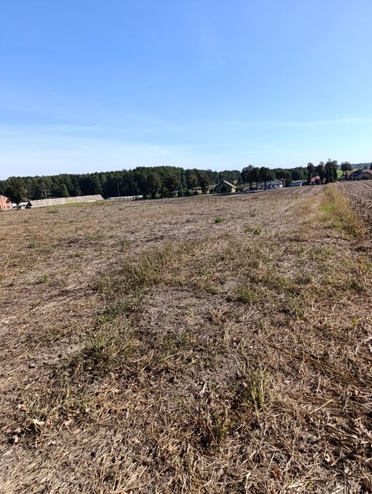 Sprzedam działkę budowlaną z pięknym widokiem przy lesie