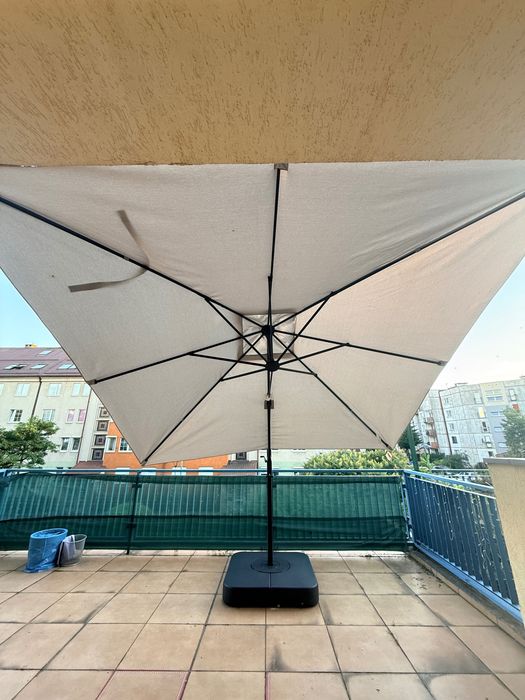 Parasola ogrodowa