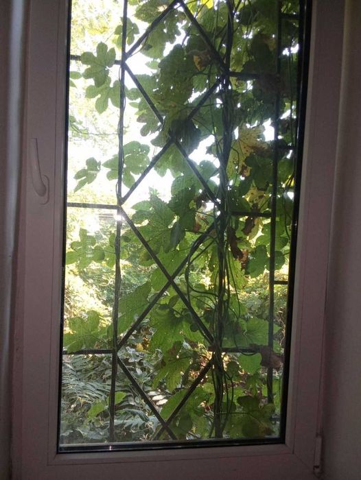 2-комнатная квартира по адресу ул. Бандеры Степана (площадь 37,7 м²) - Atlanta.ua - фото 14