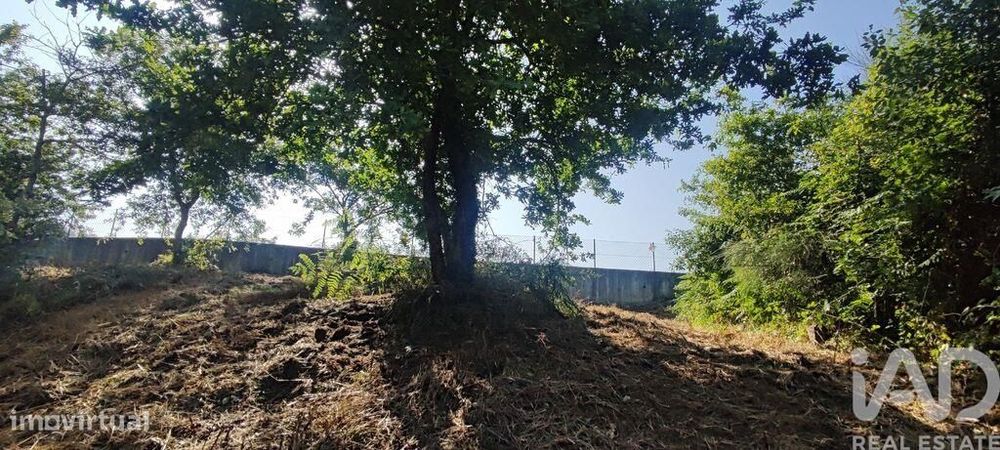 Terreno em Romarigães