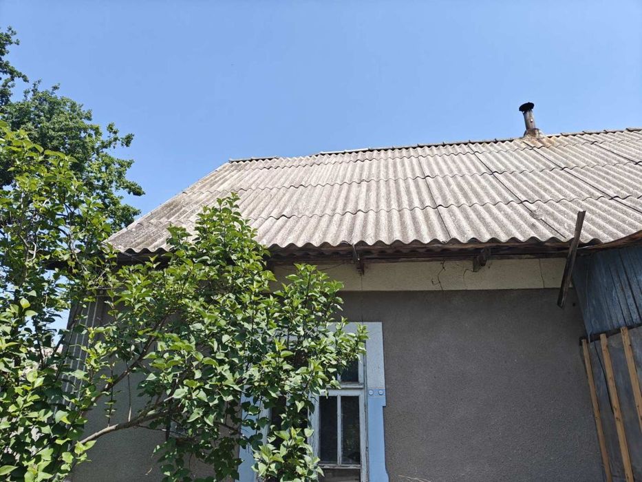 Приватний будинок (на 2 господаря)