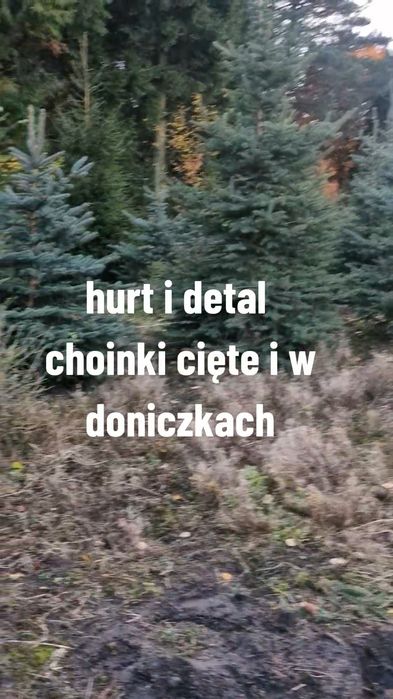 Choinka  hurt I detal