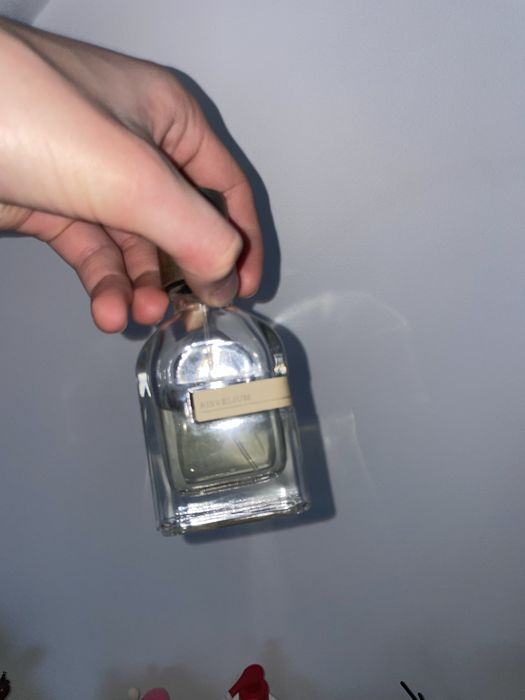 Orto parisi risvelium