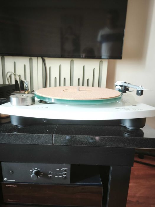 Gramofon Thorens TD 309