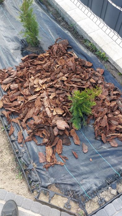 Kora sosnowa gruba średnia drobna. Ziemia Torf
