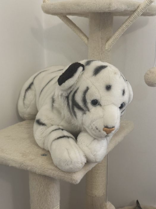 Peluxes tigre branco mae e filho