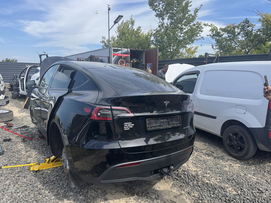 Ляда   model   Y