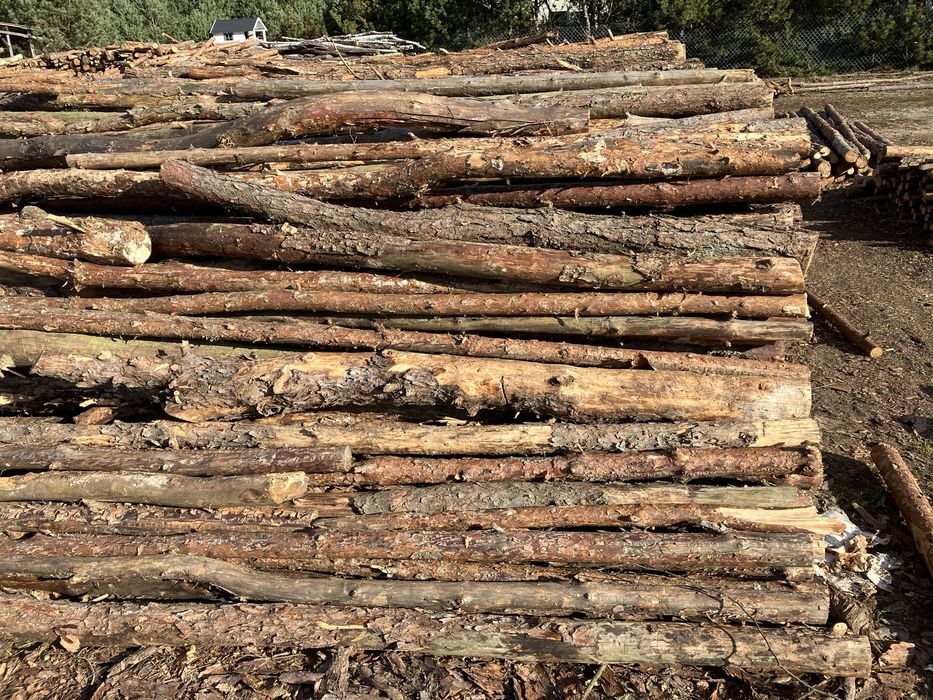 Drewno opałowe sosna