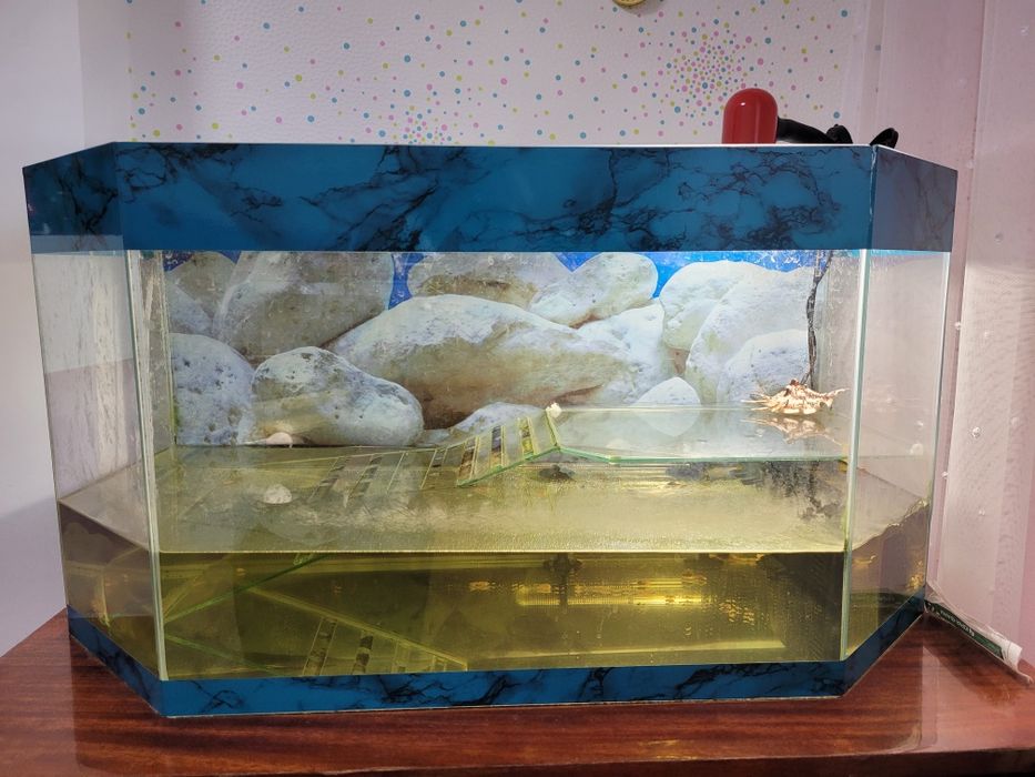 Продам террариум