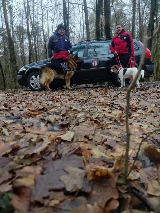 Grypa Poszukiwawczo-Ratownicza