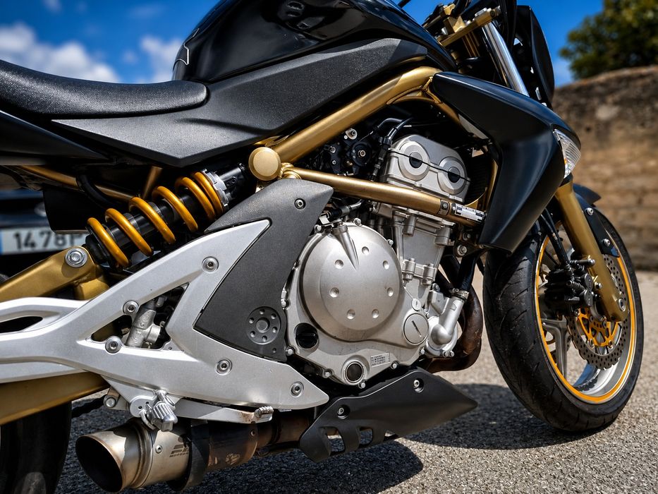 Kawasaki ER6N 650cc 2006 24.000 km