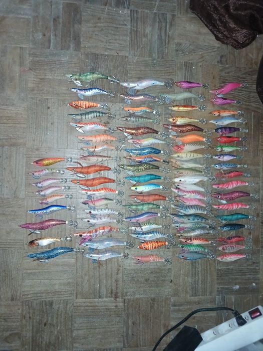 Pesca ao choco ler anúncios ate ao fim