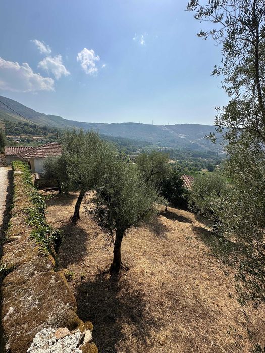 Conjunto de Duas Casas – Venda em Conjunto ou Separado