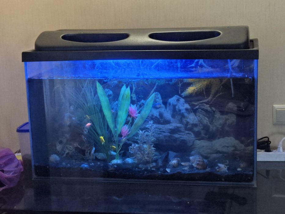 Акваріум на 100 л.