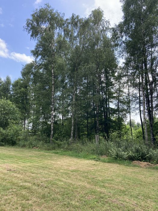 Dom – Hutki, powiat częstochowski - Więcej