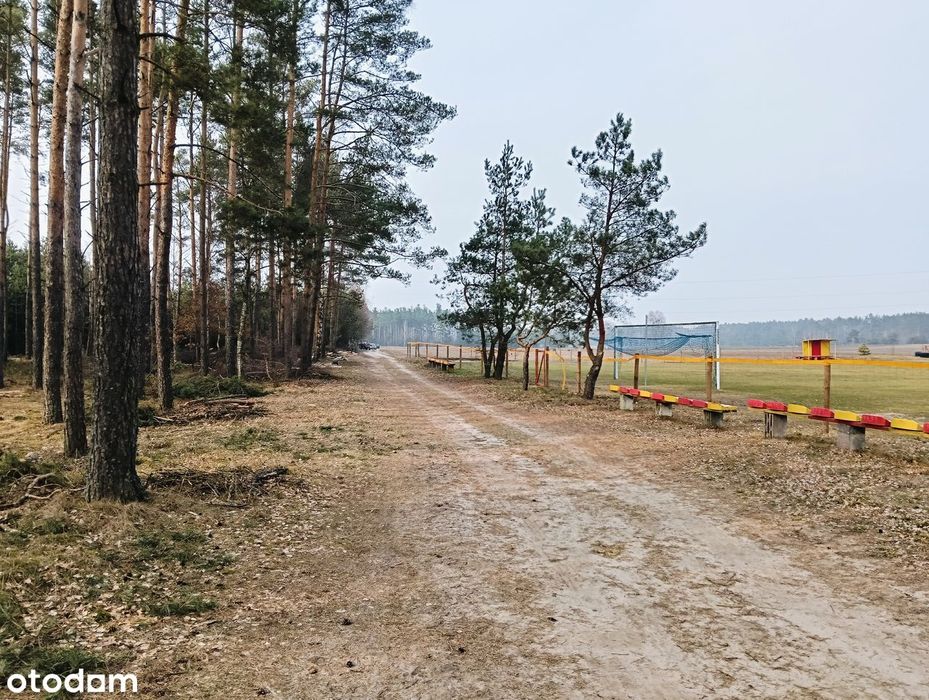 Działka rolno - leśna Huta gm. Brusy, Kaszuby