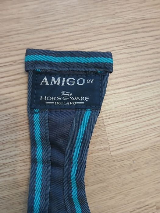 Дощовик куртка для собак або кота amigo