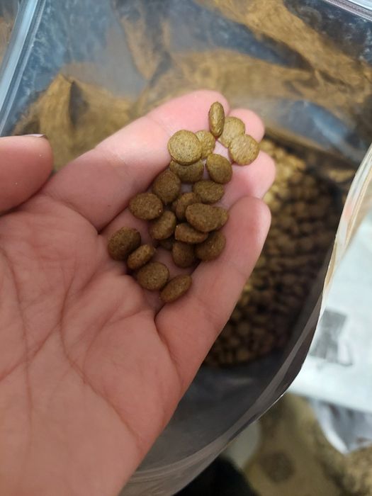 Корм, Home food, супер премиум,Хом фуд, стерильные