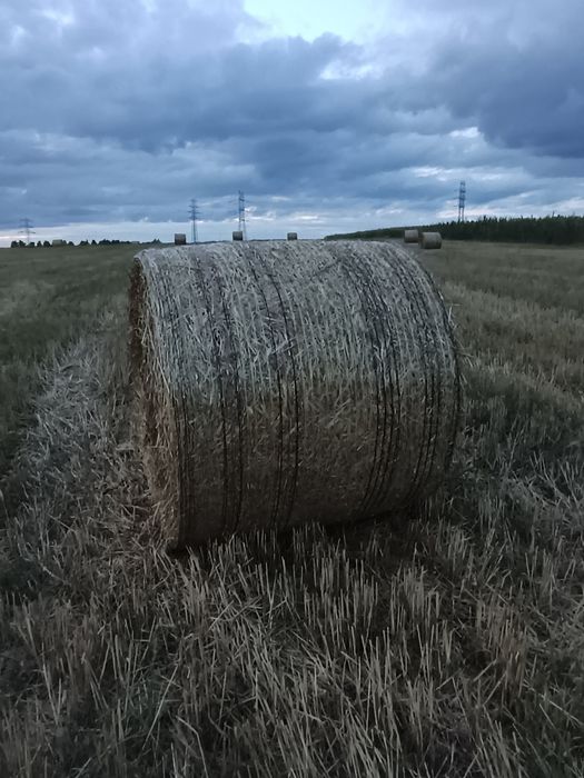 Przedam słomę w baloty 120