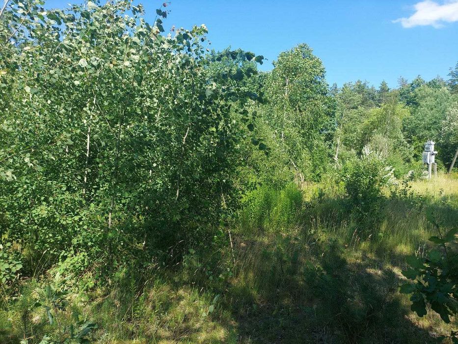 Фасадна ділянка на початку Іванівки (26116928)