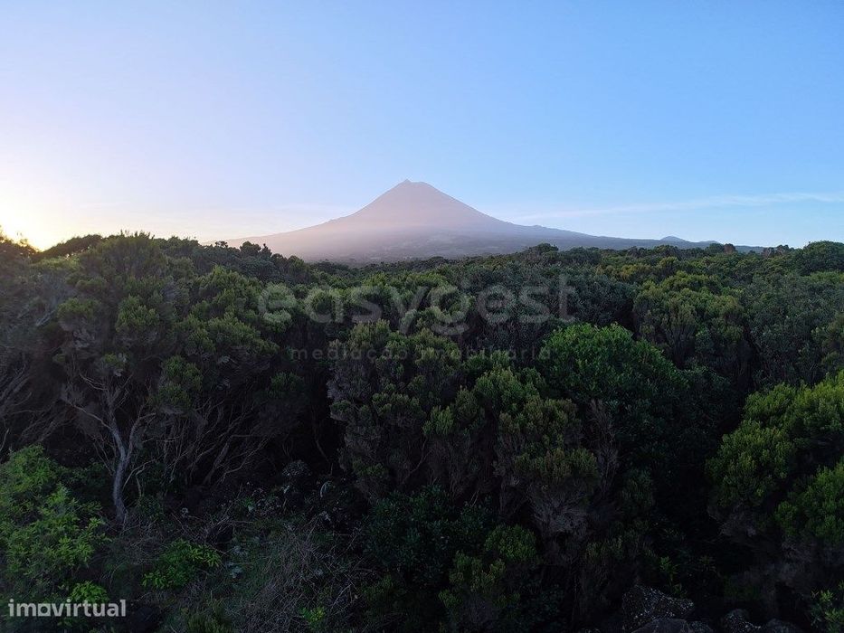 Terreno com Vista Mar e Montanha em Zona de Paisagem Protegida da V...