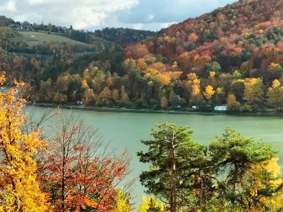 Domek  letniskowy nad jeziorem Rożnowskim