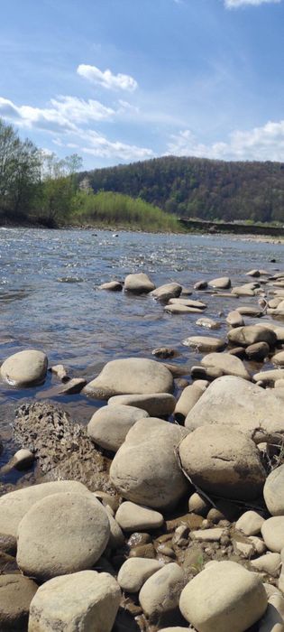 Будинок у Княжолуці, 22 сотки, біля річки Свіча і гір