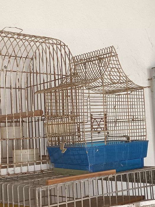 Gaiola para aves
