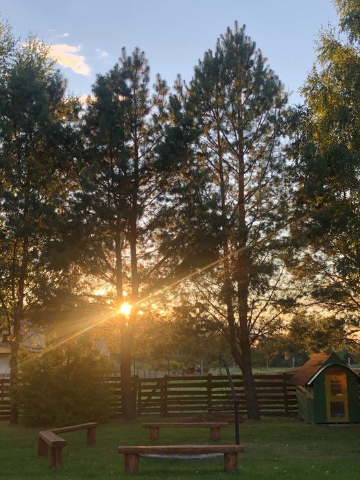 Wynajmę domek przy lesie 7-osobowy