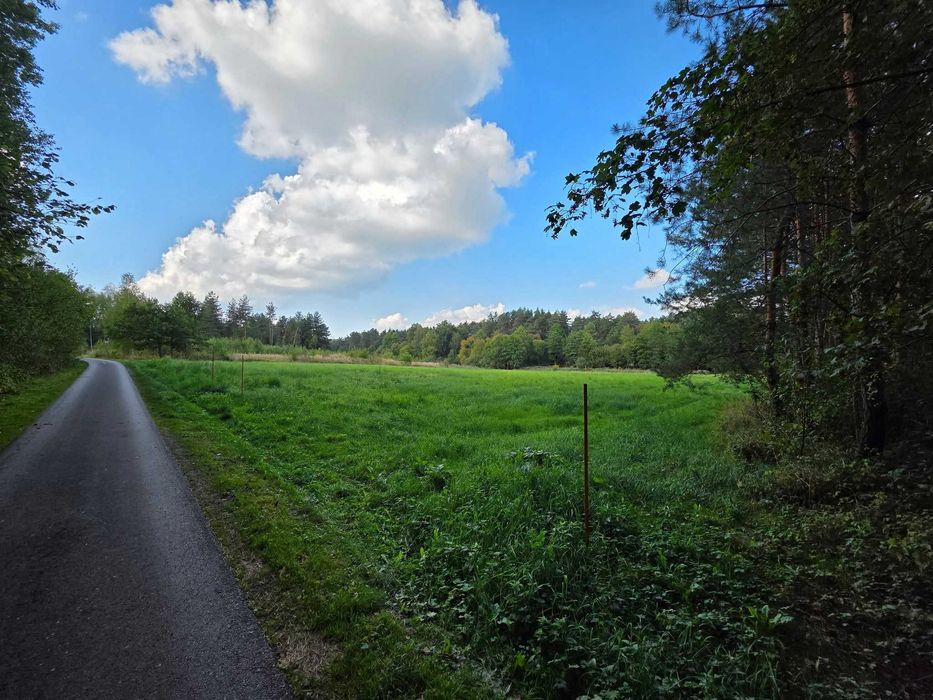 Atrakcyjna Działka Budowlana Las Winiarski