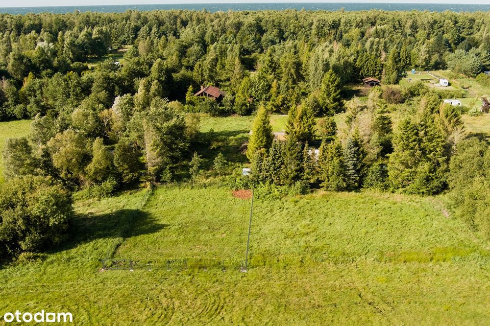Działka NAD MORZEM – 300 m do plaży! Cisza, natura, prywatność - Widok 6
