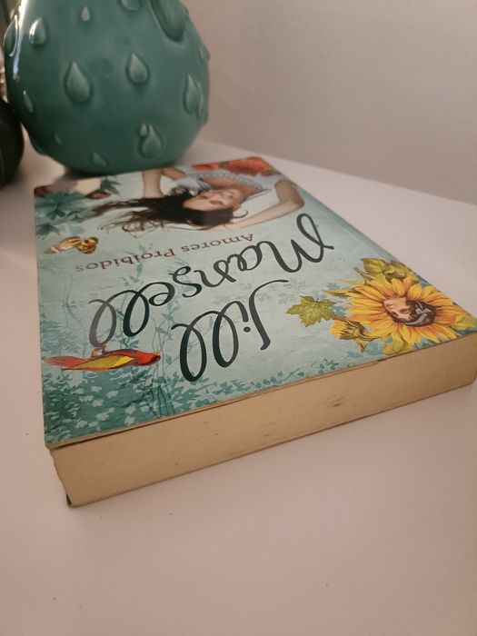 Amores proibidos - Jill Mansell