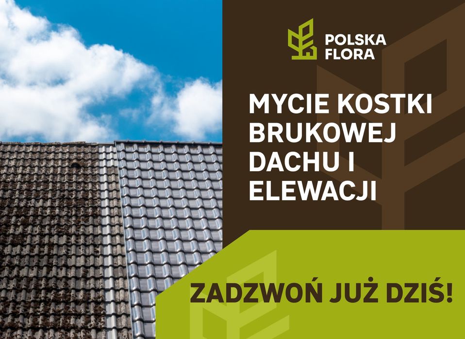 Mycie kostki brukowej wycinka, pielęgnacja drzew. BEZPŁATNA WYCENA